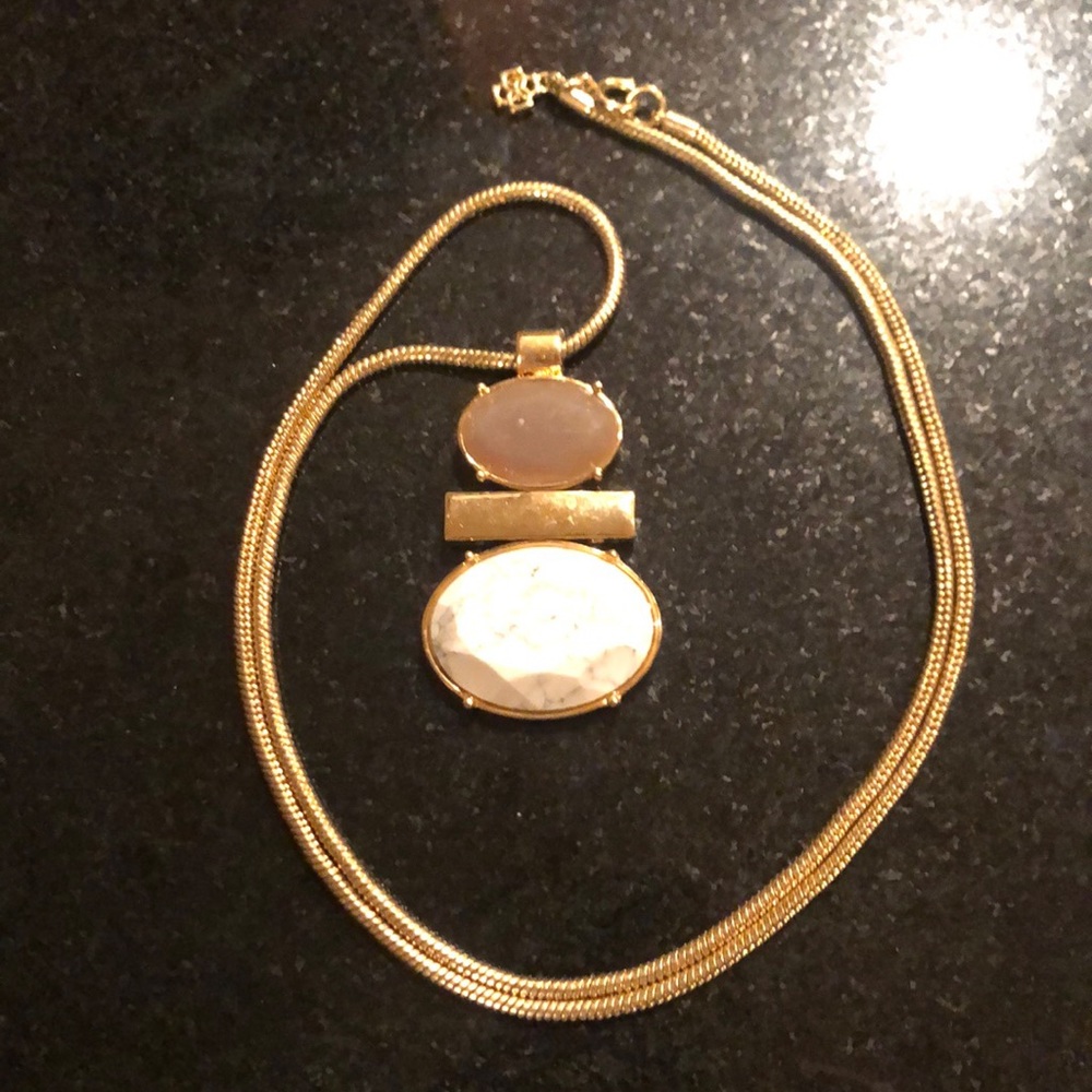 Ann Taylor Long Pendant Necklace